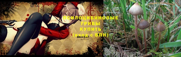 MESCALINE Баксан