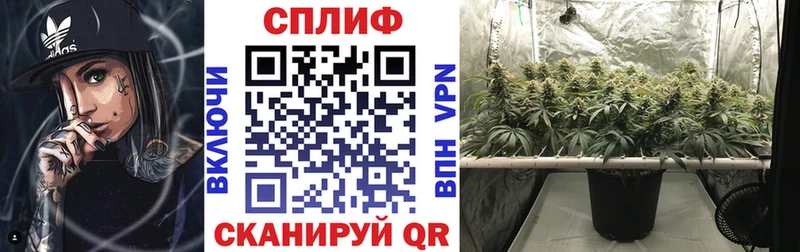 площадка как зайти  Николаевск-на-Амуре  Каннабис OG Kush  где найти наркотики 